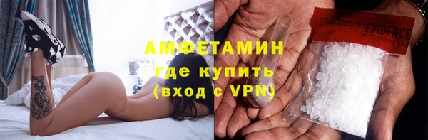 индика Аркадак