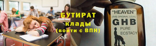 индика Аркадак
