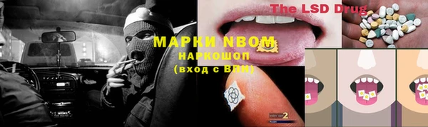 гашик Арсеньев