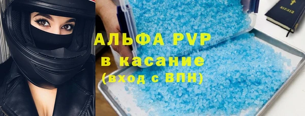 индика Аркадак