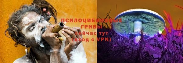 тгк Армянск