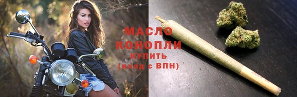 гашик Арсеньев